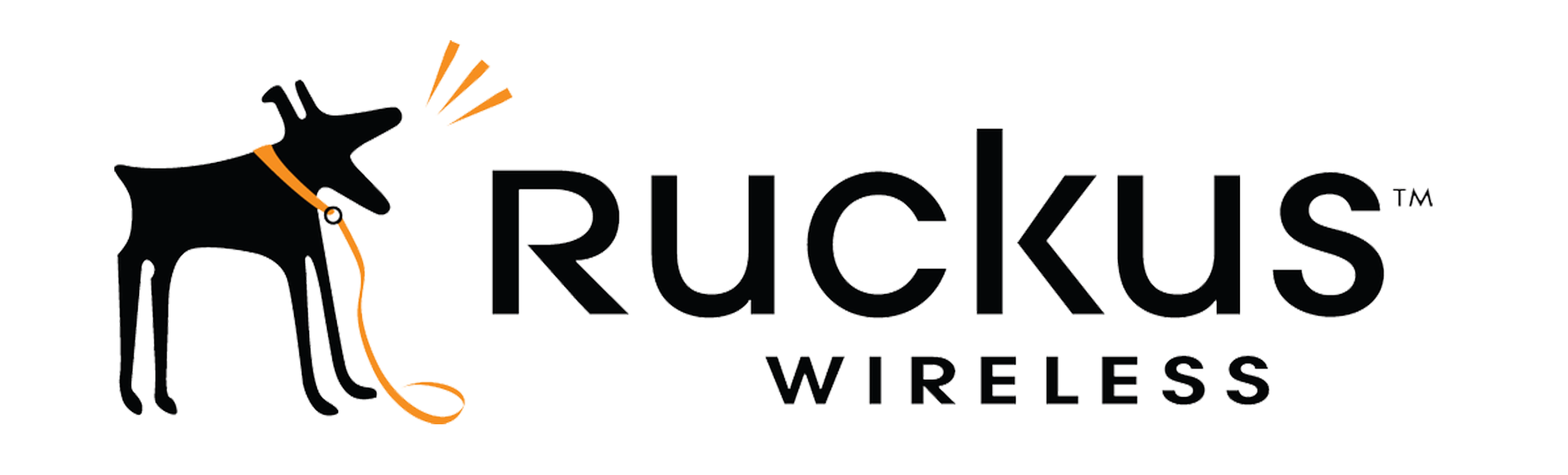Ruckus Wireless strategic partner